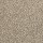 Mohawk Carpet: Dynamic Quality II Iron Clad